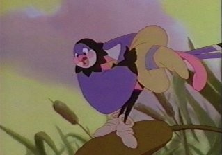 Jacquimo fotoğrafı