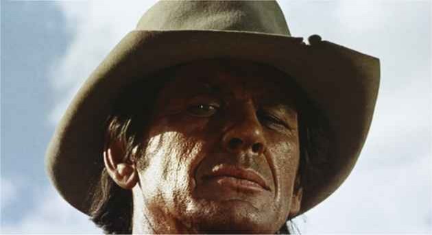 Harmonica fotoğrafı