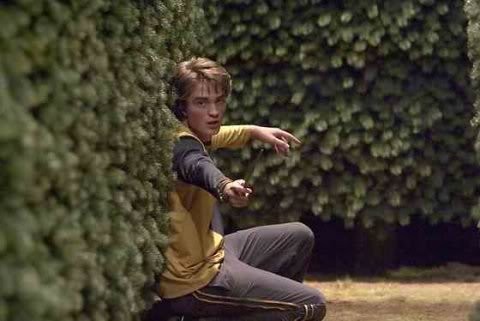Cedric Diggory fotoğrafı