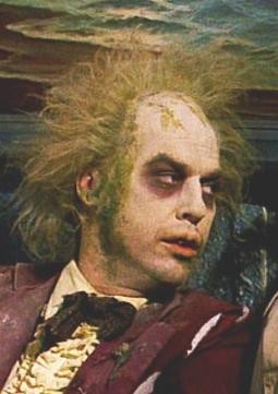 Beter Böcek fotoğrafı