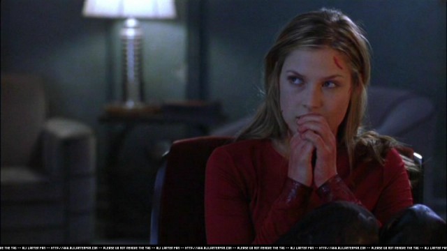 Sara Wolfe fotoğrafı