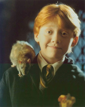 Ron Weasley fotoğrafı