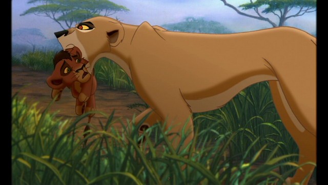 Young Kovu fotoğrafı