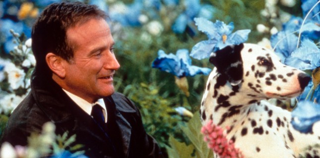 Eşsiz Hikayeleri Olan 10 Harika Film!