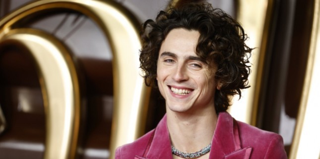 Mutlaka İzlemeniz Gereken Timothée Chalamet Filmleri!