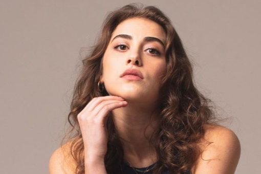 Nil Sude Albayrak hangi dizilerde oynadı?