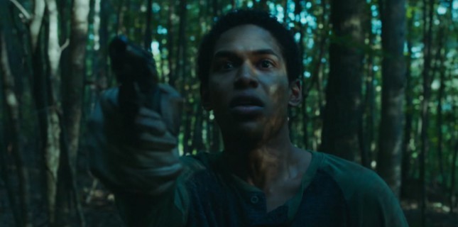 Ormanda Geçen En İyi Korku Filmleri!