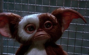 Korkutmaktan Çok Güldüren Korku Filmleri