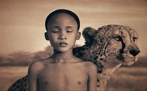 Hayvan Sevgisi İle İlgili Filmler