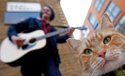 Hayvanların En İyi Dostlarımız Olduğunu Bize Bir Kez Daha Hatırlacak Filmler