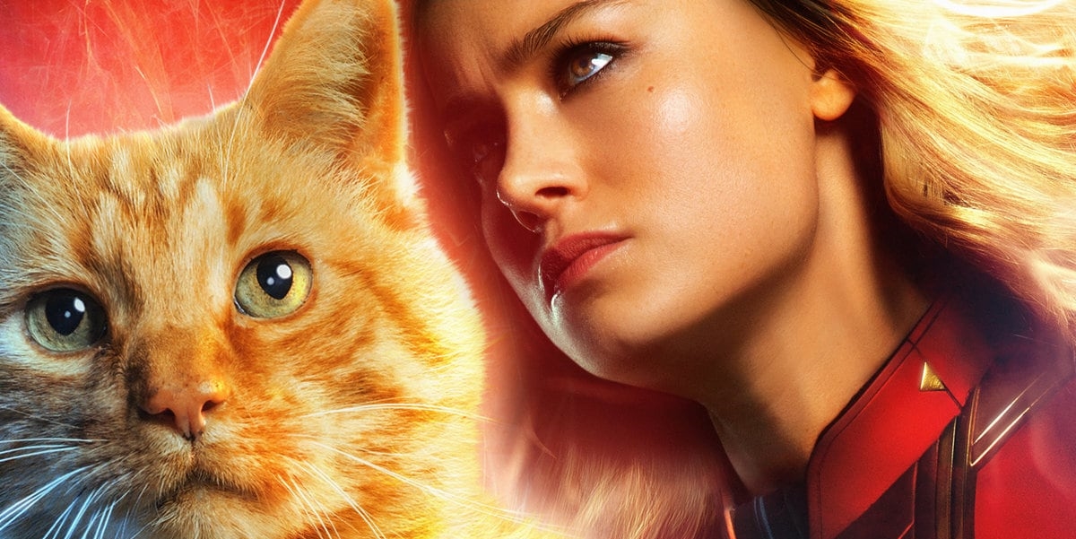 Brie Larson'ın Rol Arkadaşına Alerjisi Vardı!