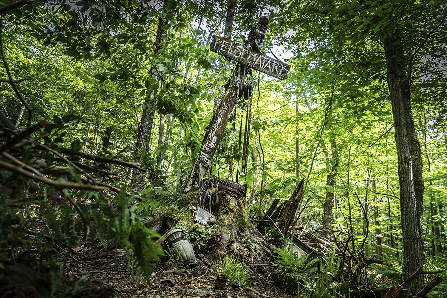 Hayvan Mezarlığı İçin Yapılan Eleştiriler