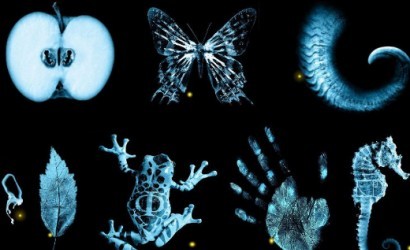 Çoklu Evrenleri En İyi Açıklayan Paralel Evren Filmleri ve Dizileri