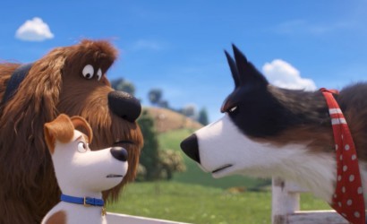 Evcil Hayvanların Gizli Yaşamı 2 İzlemek İçin 8 Neden