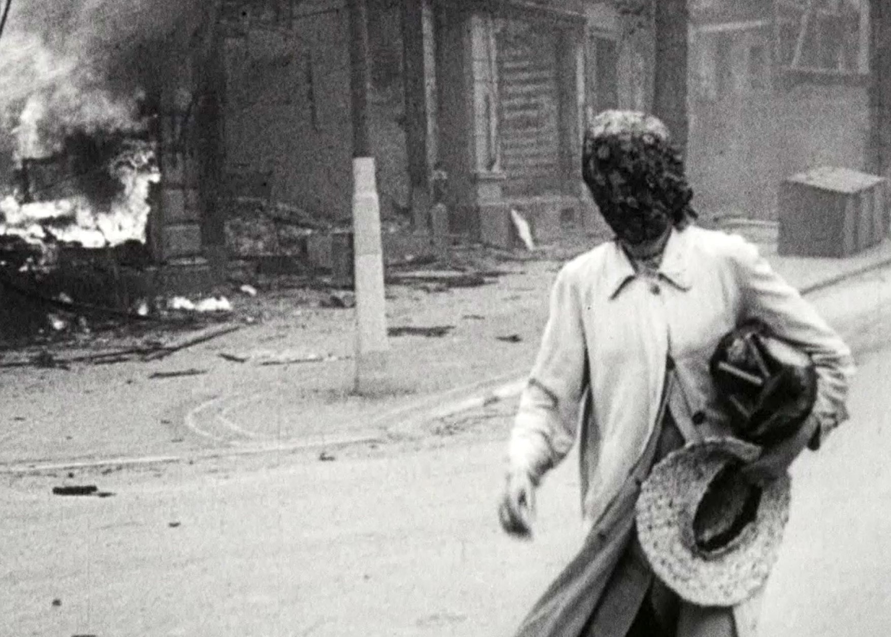 The Natural History of Destruction