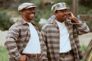 Müebbet Kuşları Fotoğrafı