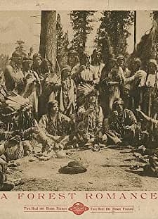 A Forest Romance (1913) afişi