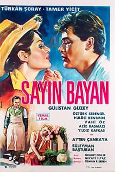 Sayın Bayan (1963) afişi