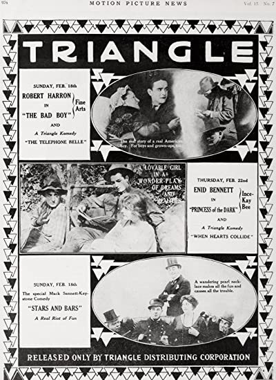 The Bad Boy (1917) afişi