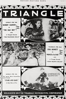 The Bad Boy (1917) afişi