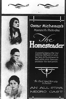 The Homesteader (1919) afişi