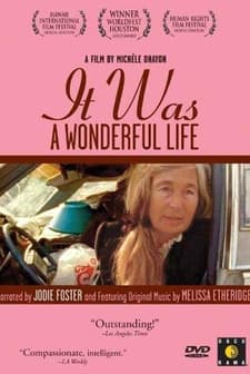 It Was a Wonderful Life (1993) afişi
