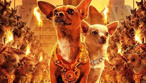 Beverly Hills Chihuahua 2 fotoğrafı