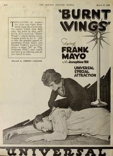 Burnt Wings (1920) afişi