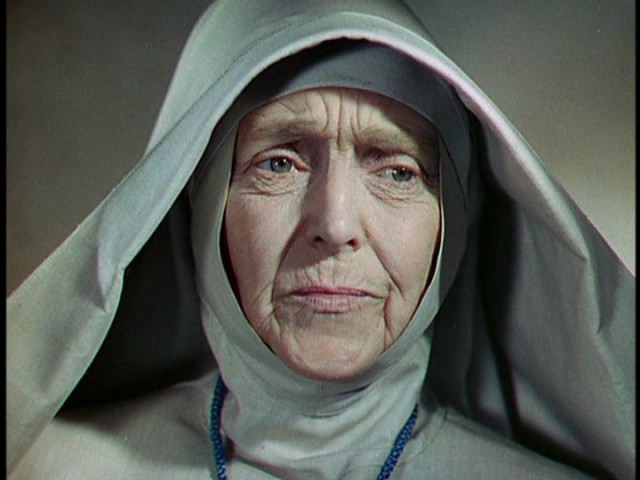 Siyah Nergis fotoğrafı