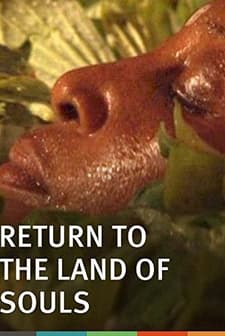 Return To The Land Of Souls (2009) afişi