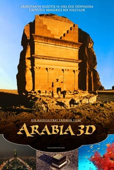 Arabia 3d (2010) afişi
