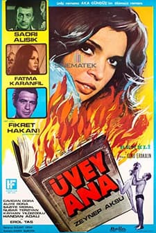 Üvey Ana (1971) afişi