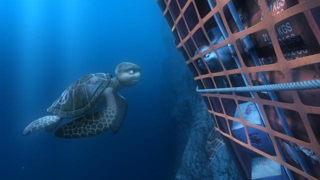 Sammy'nin Maceraları Fotoğrafı