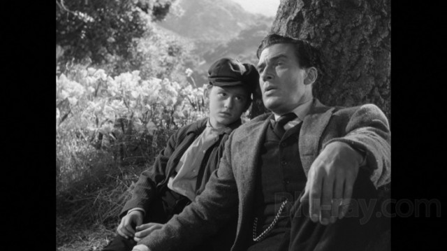 Vadim O Kadar Yeşildi Ki Fotoğrafı