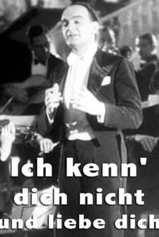 ıch Kenn' Dich Nicht Und Liebe Dich (1934) afişi