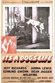ıt's A Dog's Life (1955) afişi