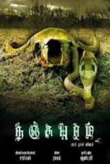 Nanjupuram (2010) afişi