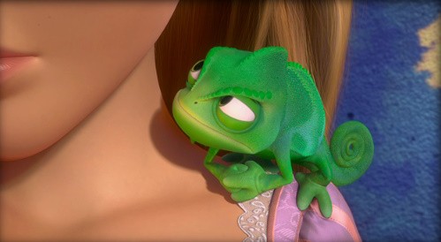 Karmakarışık Fotoğrafı