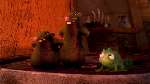 Karmakarışık Fotoğrafı