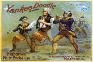 Yankee Doodle Dandy fotoğrafı