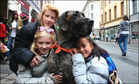 Asfaltenglene Fotoğrafı