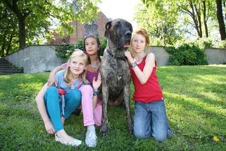 Asfaltenglene fotoğrafı