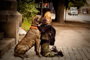 Asfaltenglene fotoğrafı
