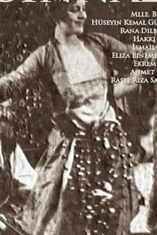 Binnaz (1919) afişi