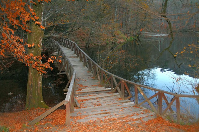 Kasımda Aşk Başkadır Fotoğrafı