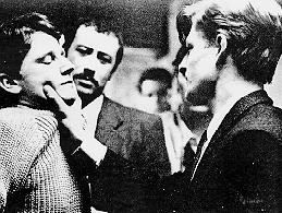 Winter Flight(ı) fotoğrafı