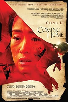 Yuvaya Dönüş (2014) afişi