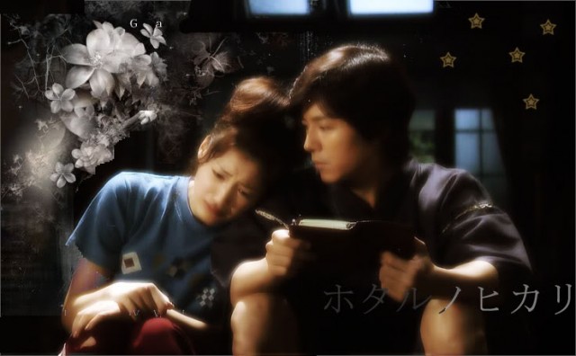 Bir Ateş Böceği Parıltısı Fotoğrafı