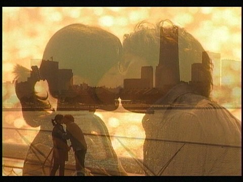 Bir Ateş Böceği Parıltısı Fotoğrafı