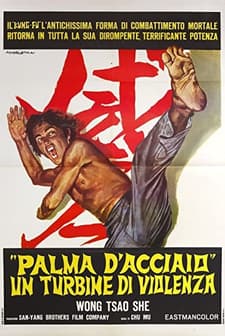 Wu Di Tie Sha Zhang (1971) afişi